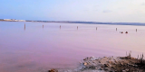 Pink Lake 1
